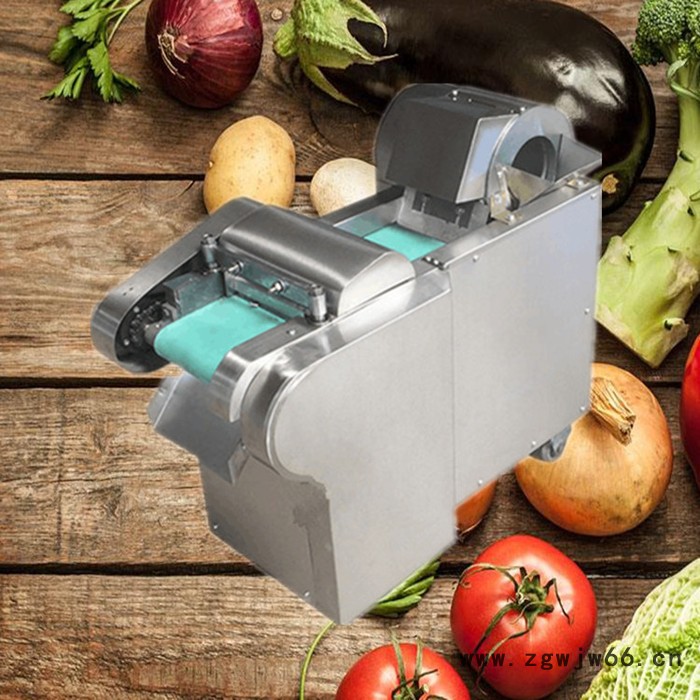 家用电多功能切菜机  不锈钢机头菜馅机  自走式输送带含国标铜芯电机图6