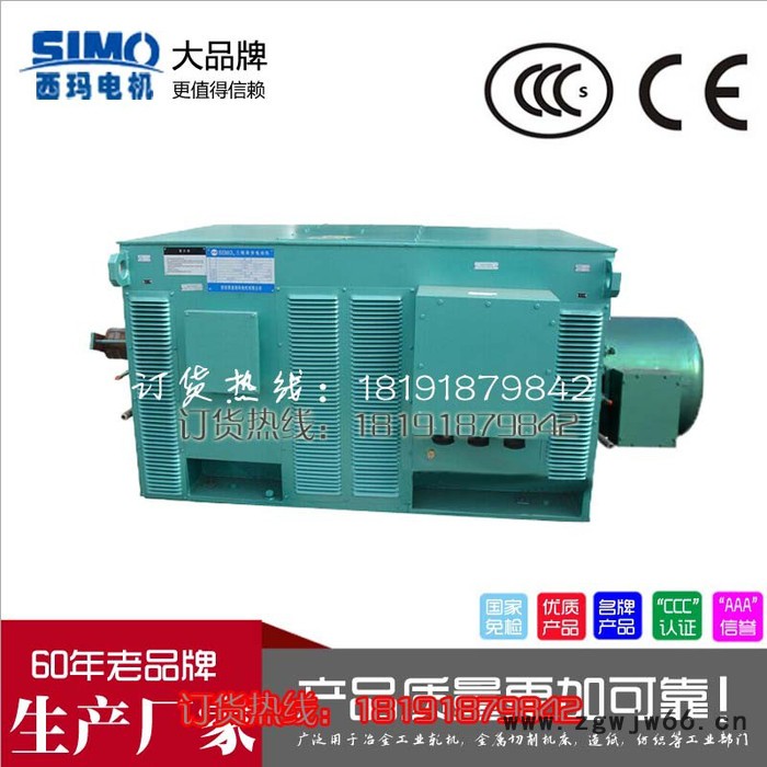西安西玛电机YR6303-12 900KW 6KV IP23破碎机专用绕线高压电机图7