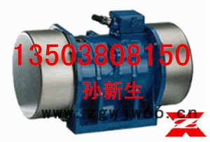 供应新振YZS-10-4振动电机图2