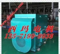 现货Y系列Y5005-2 1120KW 10KV高压三相异步电动机及高压电机维修图3