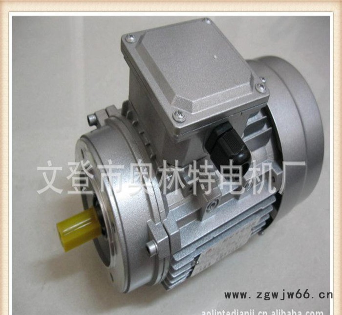 三相异步家用电动机 电机 文登 威海 木工机械图3