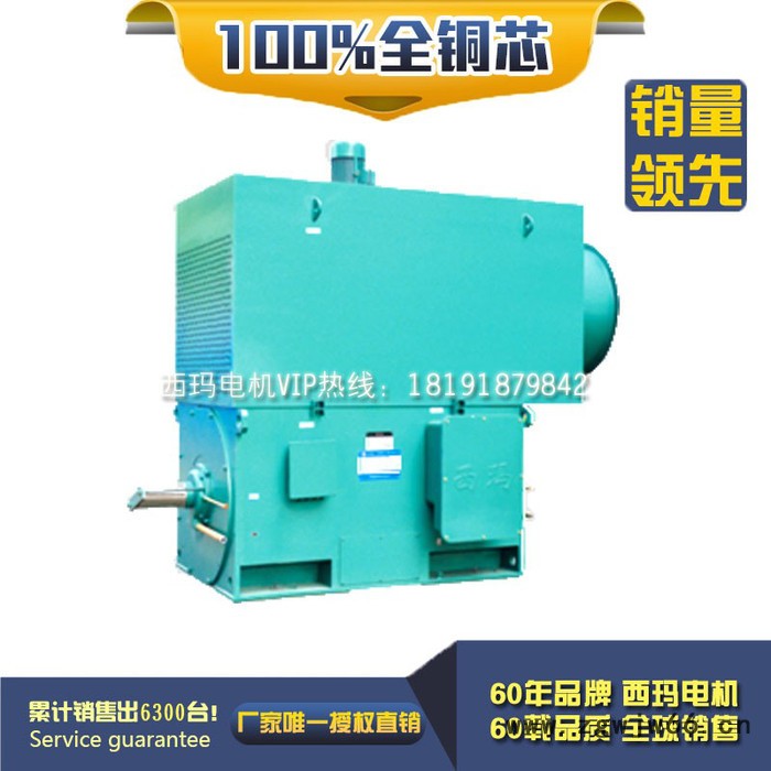 西安西玛电机YKS4001-2 450KW 6KV IP54高压电机图2