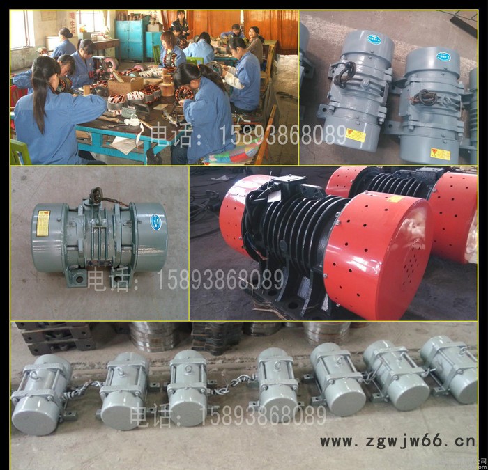 振动平台专用 振动电机 YZU-40-6图2