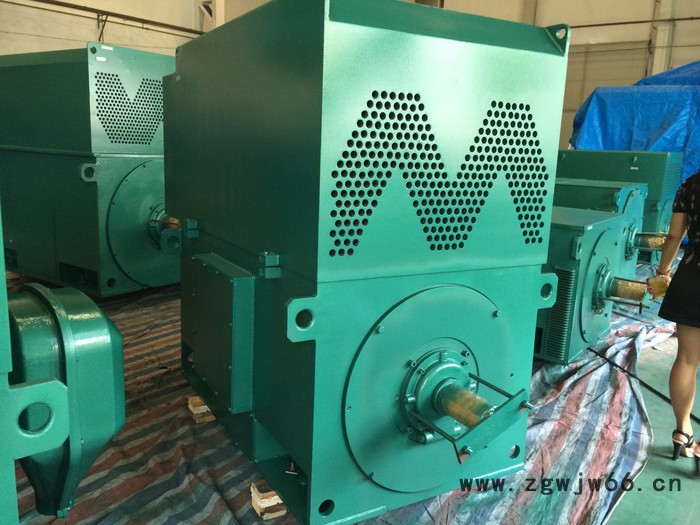 YRKK5604-6 900KW 10KV IP54 绕线电机 西玛电机YRKK 10KV高压电机图2