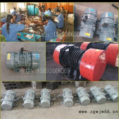 益阳 TZD21-4C振动电机 高信誉高质量有保障