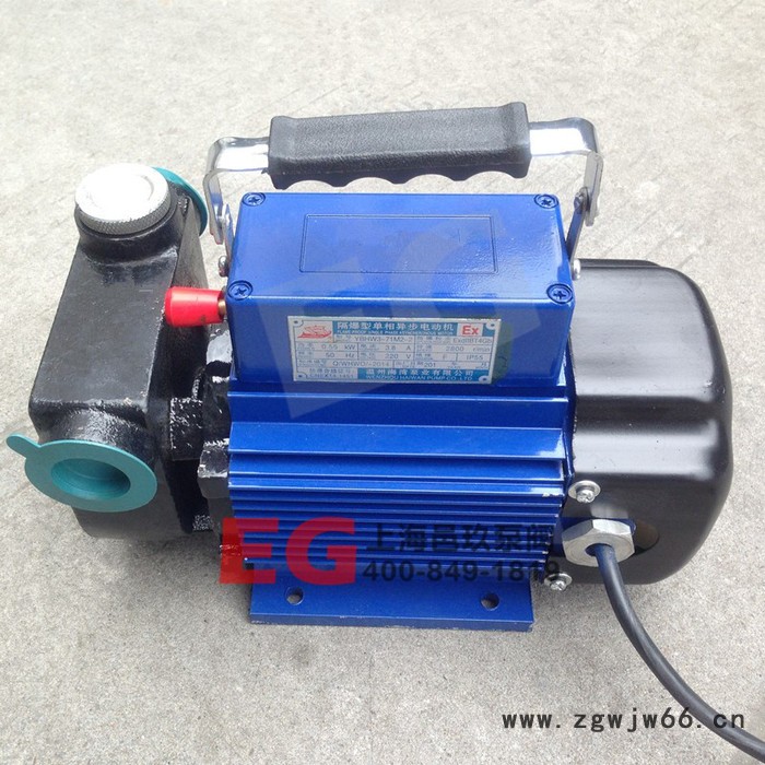 邑玖泵阀**DYB油泵参数 型号DYB-80 铸铁 汽油 柴油煤油输送泵 220V 防爆电机图2