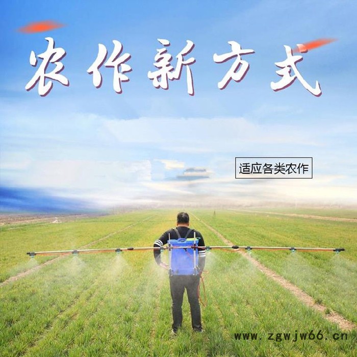 菜园菜地除虫打药机 家用电动打药机 双泵双电机农用打药机图8