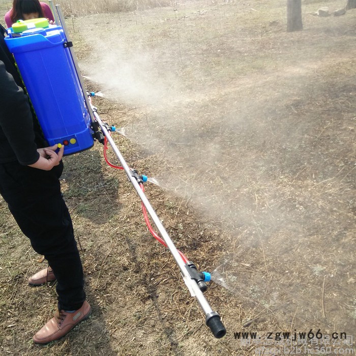 菜园菜地除虫打药机 家用电动打药机 双泵双电机农用打药机图4