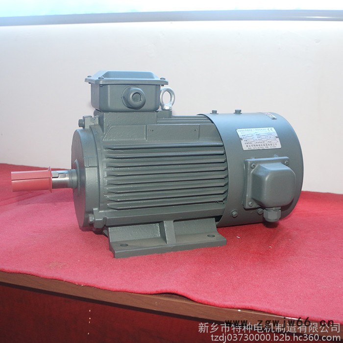 特种电机 变频电机 振动电机 0.75KW震动变频电机 直流电机厂家图2