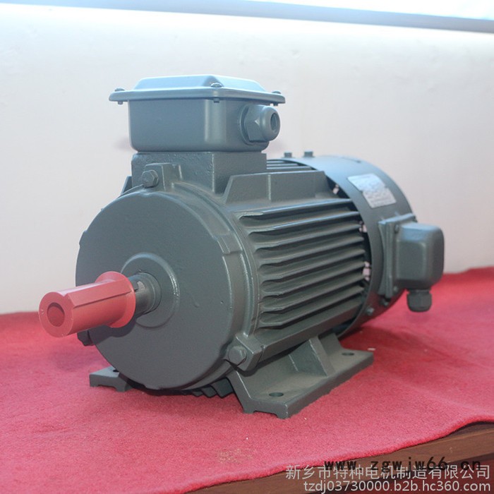 特种电机 变频电机 振动电机 0.75KW震动变频电机 直流电机厂家图3