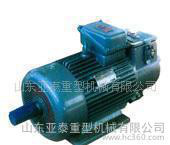 湖北黄石YZR250M2-6-45KW起重及冶金用电动机YZR滑环电机行车电机图3