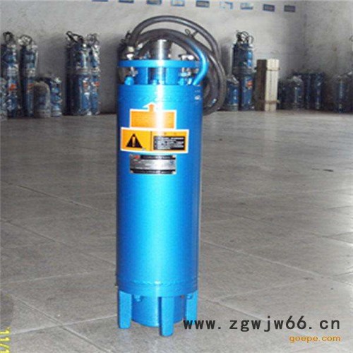 津奥特YQS潜水电机_深井抽水200米扬程潜水电机 高扬程潜水电机图2