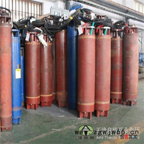 津奥特YQS潜水电机_深井抽水200米扬程潜水电机 高扬程潜水电机图4