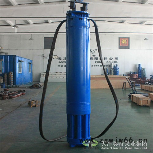 津奥特YQS潜水电机_深井抽水200米扬程潜水电机 高扬程潜水电机图3
