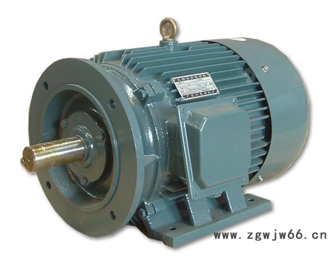 三相异步电机Y系列图2
