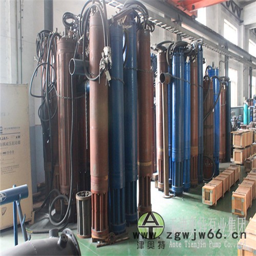 1234/2-450三相异步电动机_大功率深井抽水潜水电机 津奥特三相异步电动机图2