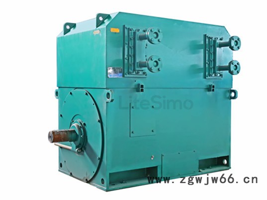 YKK4003-4 315KW 6KV西玛电机 高压电机图3