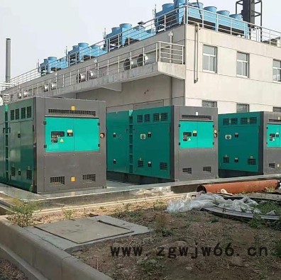 发电机租赁   立涛Volvo/沃尔沃 进口发电机出租   欢迎电话咨询图3