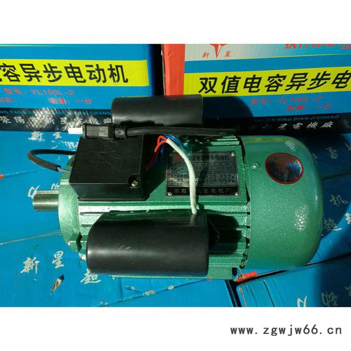 新星电机高压电机厂家双值电容单相异步电动机 双值异步电动机图2