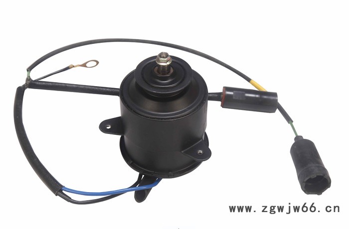 **型号065000-4423水箱电机 风扇电机 直流电机 有刷电机图4