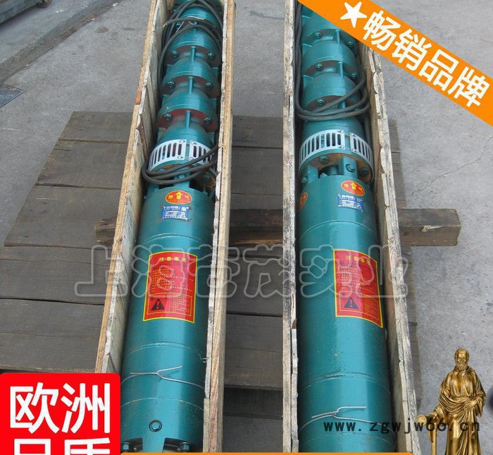 深井泵电机 qjr深井泵 qj深井潜水电泵 QJ楚图3