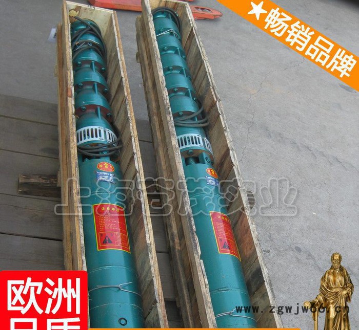 深井泵电机 qjr深井泵 qj深井潜水电泵 QJ楚图2