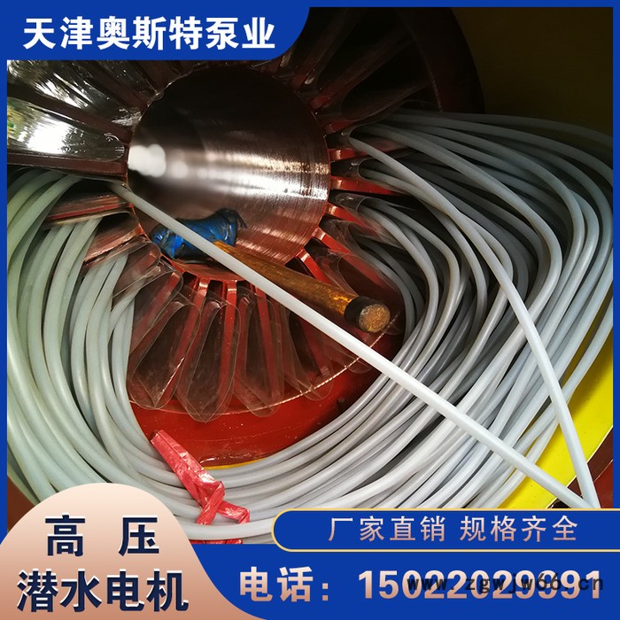 高压潜水电机 深井泵介绍 现货供应图2