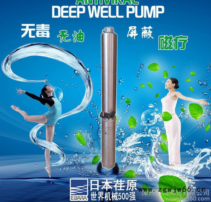 荏原EBARA 屏蔽水式电机，不锈钢健康深井泵，潜水泵，温泉泵图2
