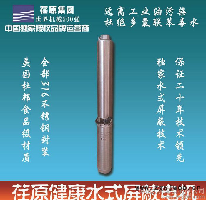 荏原EBARA 屏蔽水式电机，不锈钢健康深井泵，潜水泵，温泉泵图3