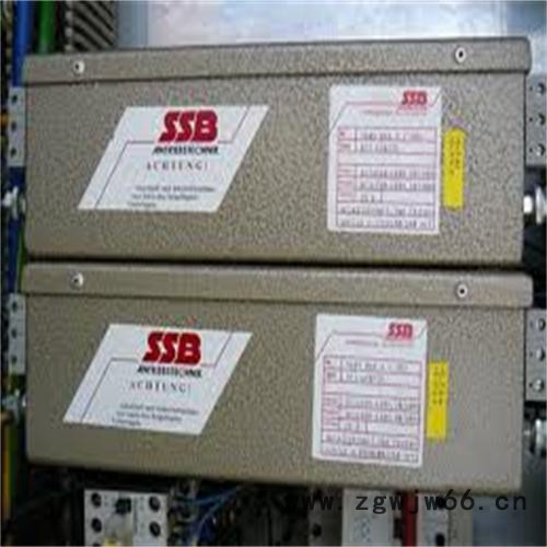 销售供应SSB异步电机图4