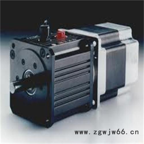 销售供应SSB异步电机图2