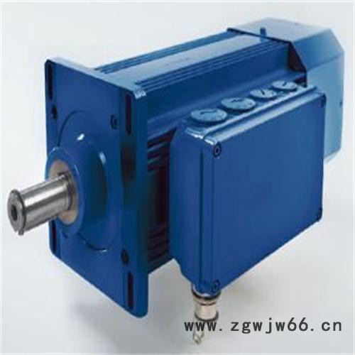 销售供应SSB异步电机图5