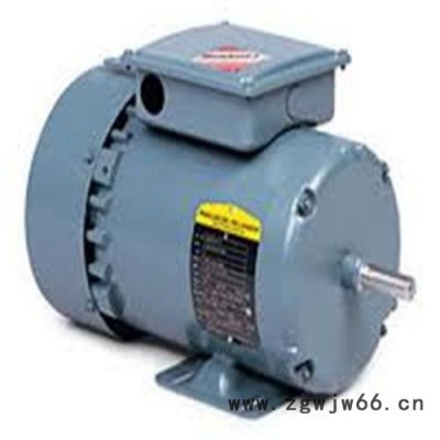 销售供应SSB异步电机