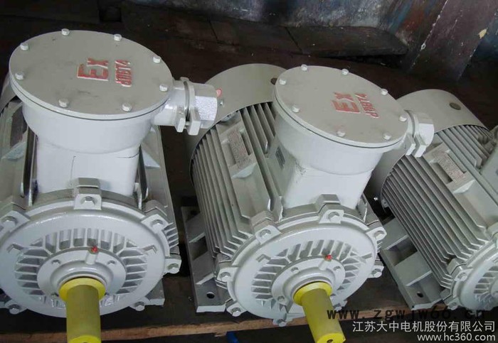 江苏大中电机，Y2三相异步电机,防爆，变频，高压直流电机图2