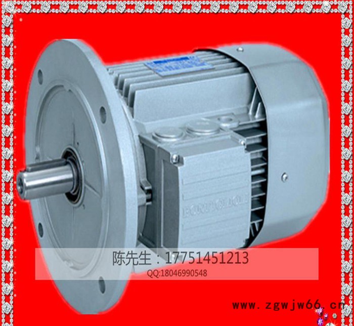 意大利刹车电机,刹车电机,进口刹车电机,意大利电机,进口电机,邦啡图3