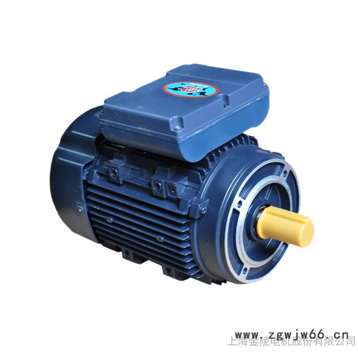 GW电机IEC标准电机YLJ系列双值电容异步电容电动机 三相异步电机图1