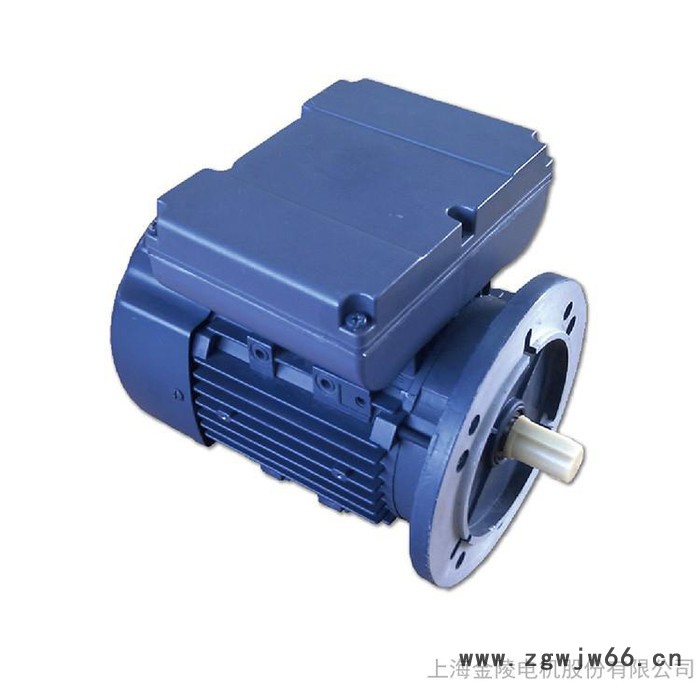 GW电机IEC标准电机YLJ系列双值电容异步电容电动机 三相异步电机图3