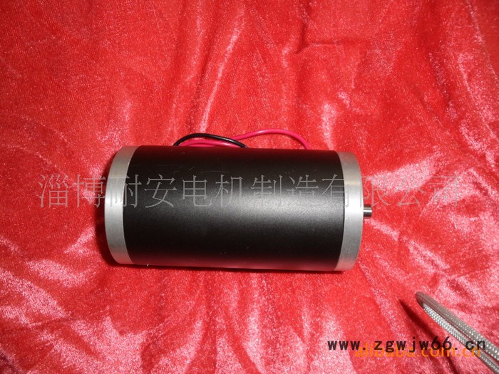 博山耐安 55ZYN55  稀土永磁直流电机图2