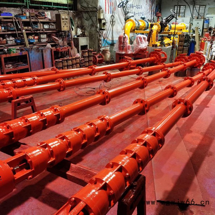 深井消防泵，干式深井消防泵，干式电机深井消防泵，长轴式深井消防泵，干式安装深井消防水泵图8