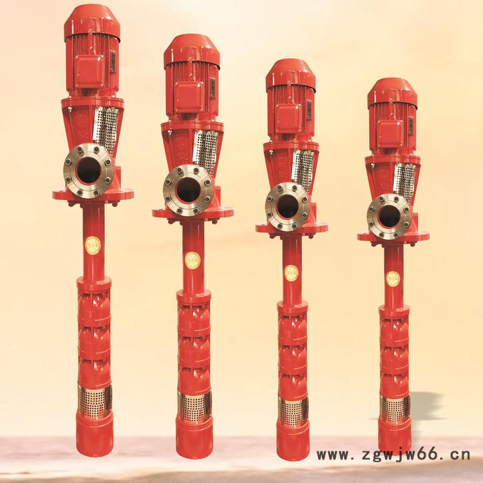 深井消防泵，干式深井消防泵，干式电机深井消防泵，长轴式深井消防泵，干式安装深井消防水泵图3