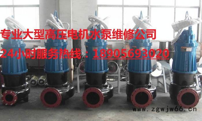 扬州电机维修 扬州水泵维修 扬州大型电机维修 扬州高压电机修理图2