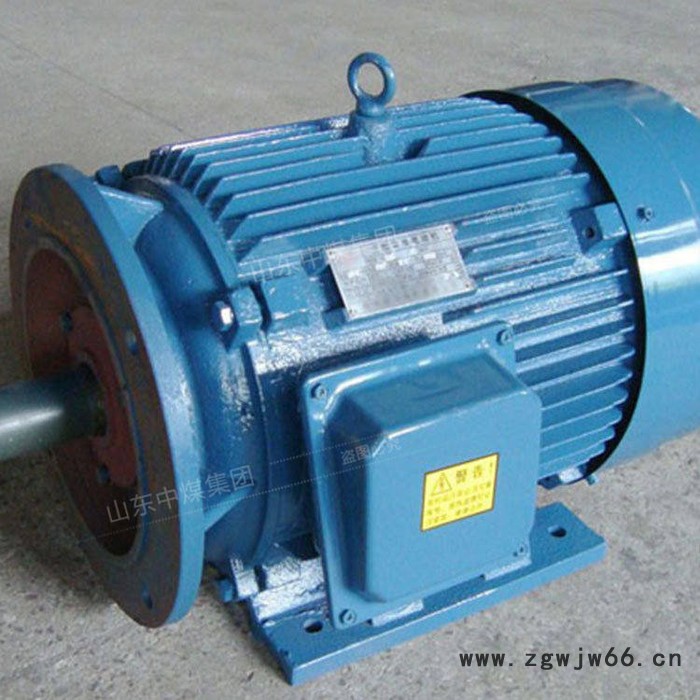 中煤 YBJ系列三相异步电机,三相异步电机厂家,三相异步电机适用范围图3