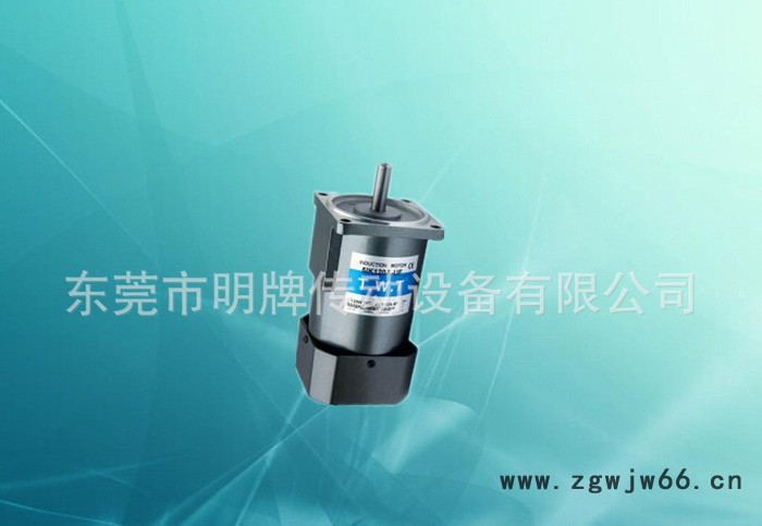 TWT直流电机直流马达TWT-07SGN24V1800转30图2