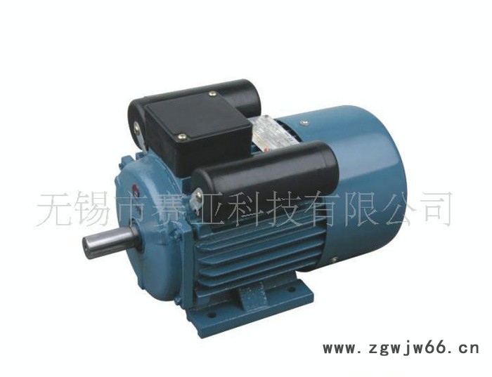 YL 系列(单相双值电容异步电机)
