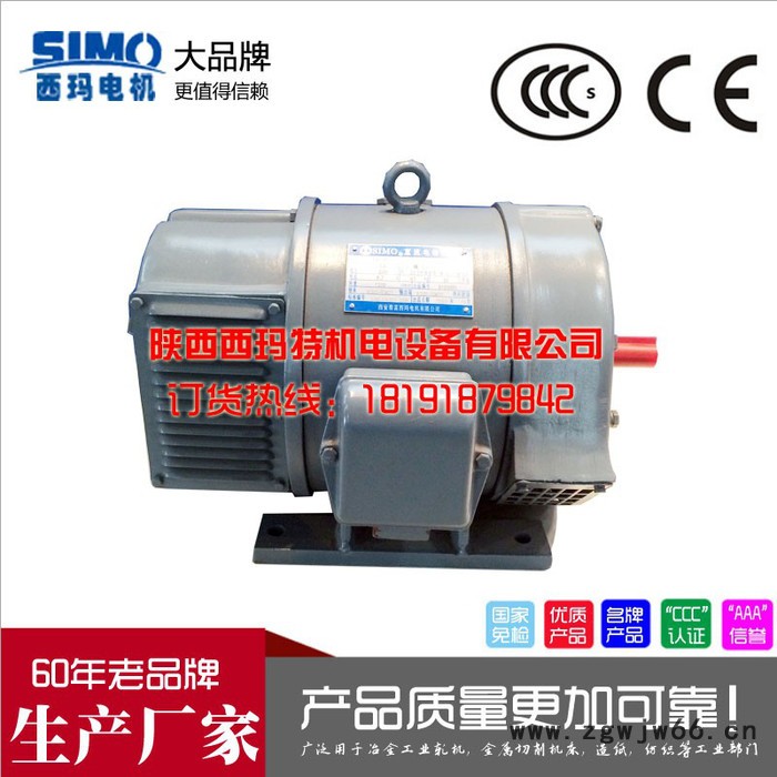 Z2-72 19KW 115V/230V 1450R 西玛电机 西玛Z2直流电机图2