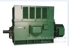 西安西玛电机YR8006-16 800KW 10KV IP23破碎机绕线型高压电机图2
