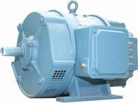 南洋Z4系列 直流电机图5