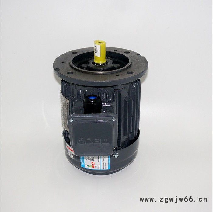 东元三相异步电动机 进口台湾东元AEUV电机 AEEV三相马达图3