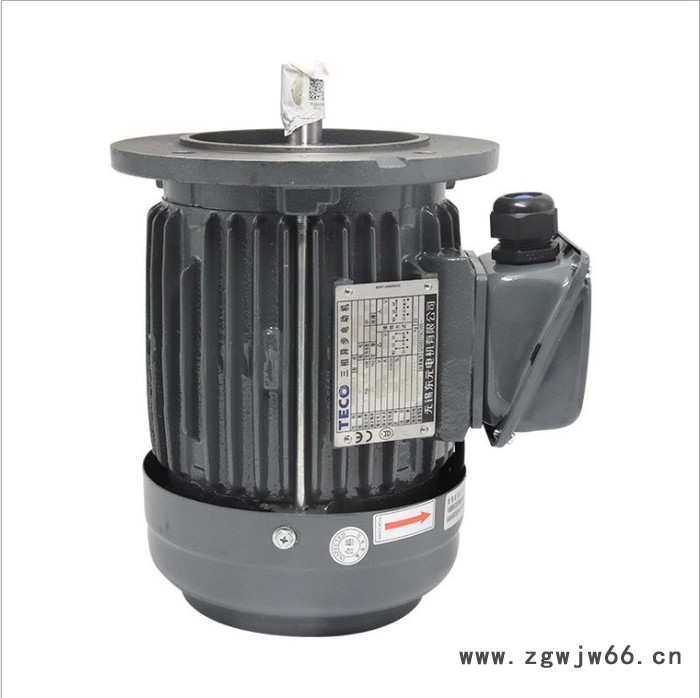 东元三相异步电动机 进口台湾东元AEUV电机 AEEV三相马达图4