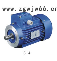 三相异步电动机 电机    三相异步电机 减速机电机图1